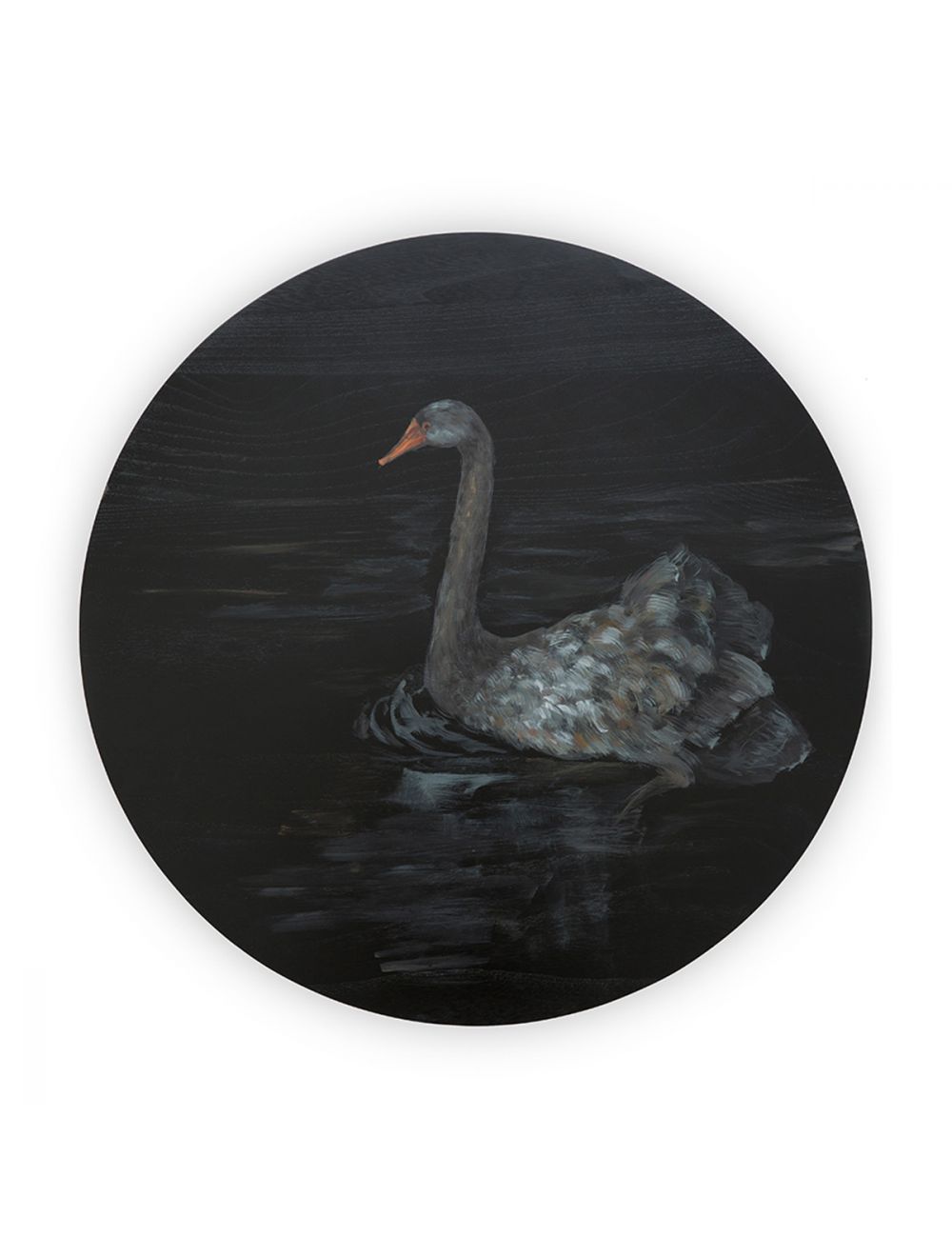 The Mute Swan II